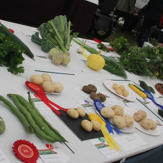 Goosnargh and Longridge Agricultural Show tweet media