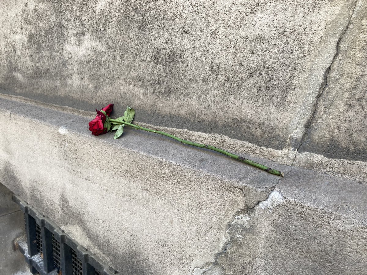 ireneensonges's tweet photo. Forgotten 🥀 #ByIrène #SomewhereInParis https://t.co/1FfahOPMq0