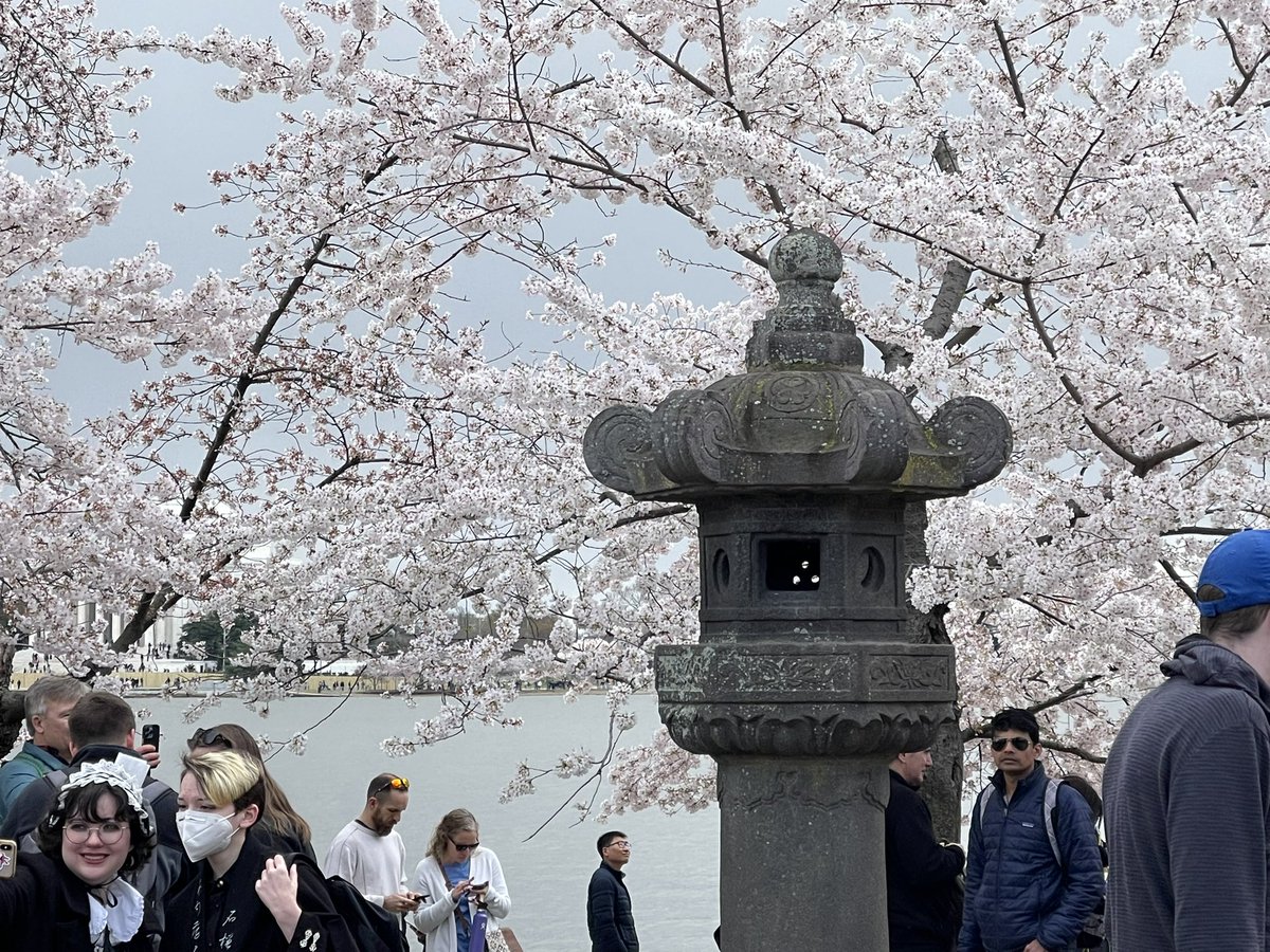 HappiENT's tweet photo. This Japanese Stone Lantern was created in 1651 when Tokugawa Iemitsu (Shogun) passed. You will find the famous….

(Read more..)
https://t.co/VqK4IsYeKn https://t.co/tKYrWAIXu4