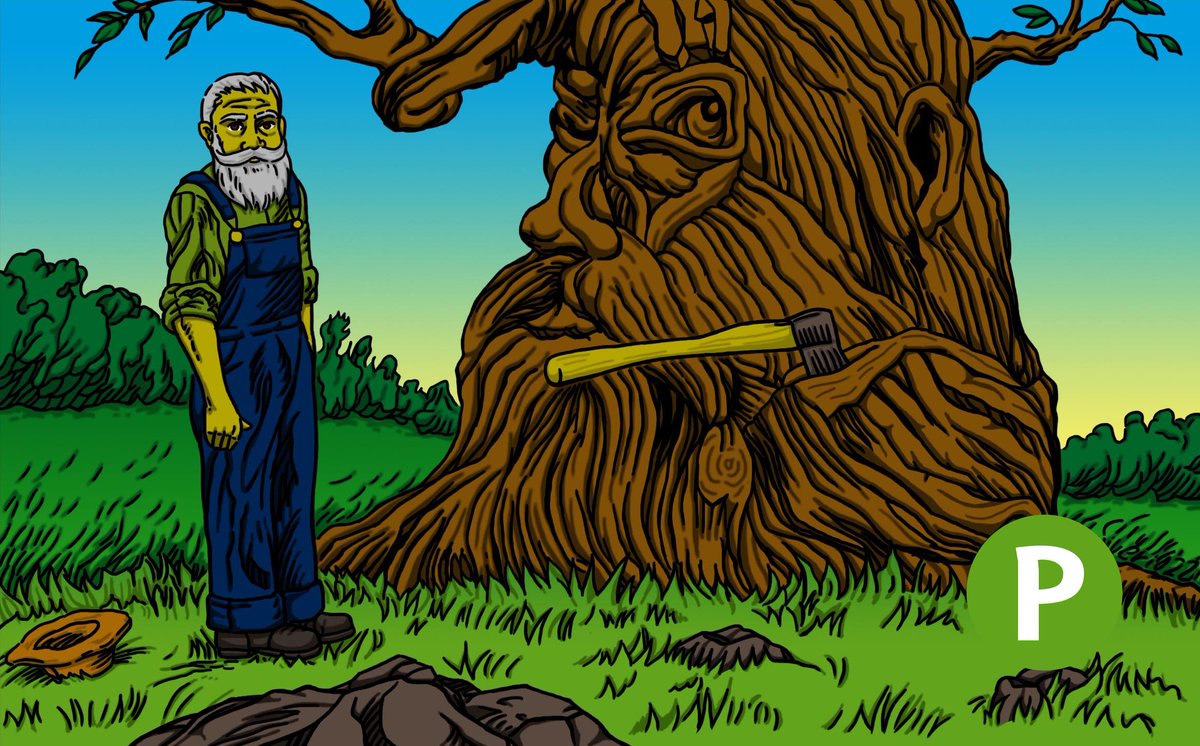 pressfuls's tweet photo. CENTURY TREE, After failing for a century to remove it, Ol' Joe yanked the unyielding axe deep within the gnarled tree one last time and it came free. https://t.co/QYIEKD5MIp