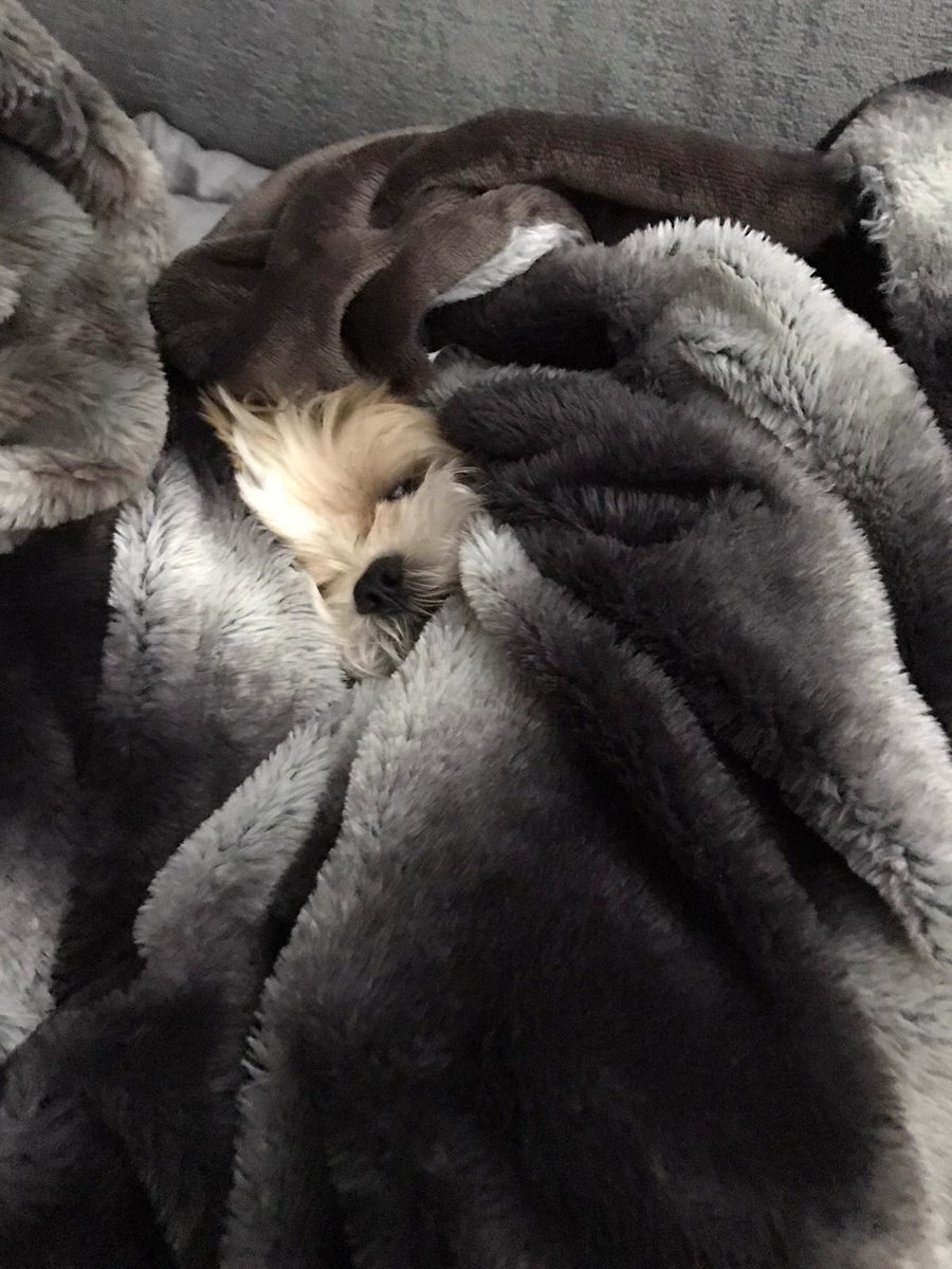 Tinyfable's tweet image. The holy trinity of Freddy achieving pure bliss