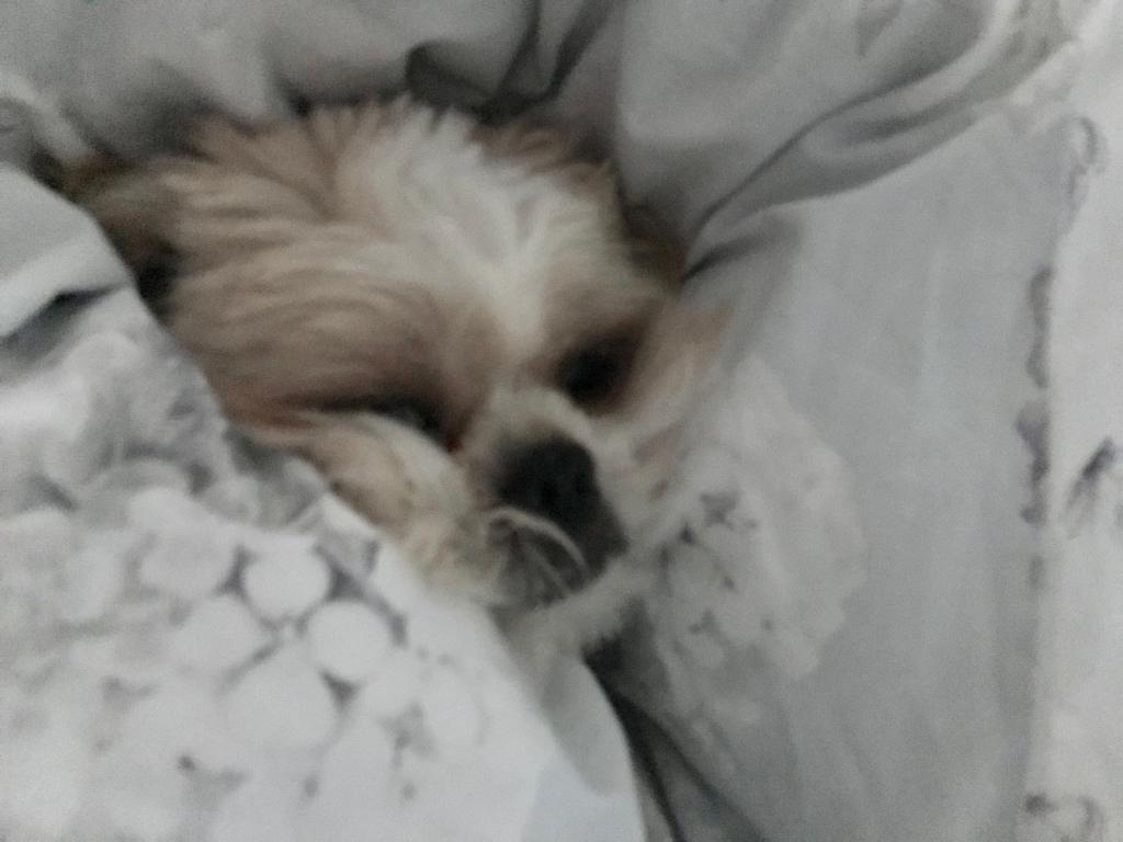 Tinyfable's tweet image. The holy trinity of Freddy achieving pure bliss