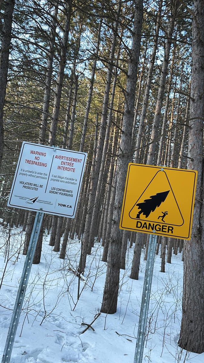 feathermoss's tweet photo. Hey @markblaroche @FlyYOW @OmarAlghabra @JimWatsonOttawa @JustinTrudeau @DavidMcGuinty @s_guilbeault
There’s a solution to every problem‼️ You just have to wanna find it‼️ #UpdateTheMandate
(‘97 was a diff.time)
#Respect your OWN #liberalmandates #urbanforest #HuntClub🌲🆘🌎🆘 https://t.co/Di14ko6Coj