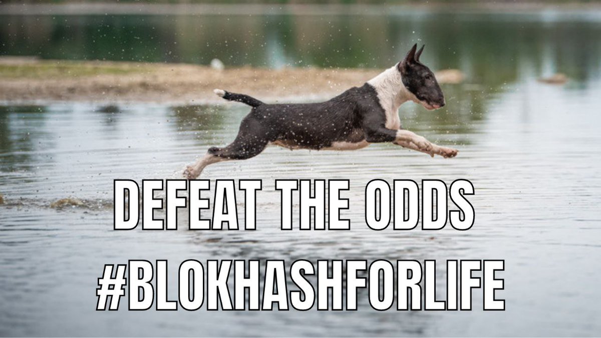 BlokHash's tweet photo. 🥂We Celebrate Our Weekend With Our Most Special Community 💖😌 

🔥Thanks For The Love and the funny memes 🐱

Congratulations for the winners 🏆

🐼 Don't Wanna Miss Weekend Party ? 

Join - https://t.co/QZV7IQ0cuv 

Cheers Guys 🥂

#BlokHashForever https://t.co/6RPLJNyUv7