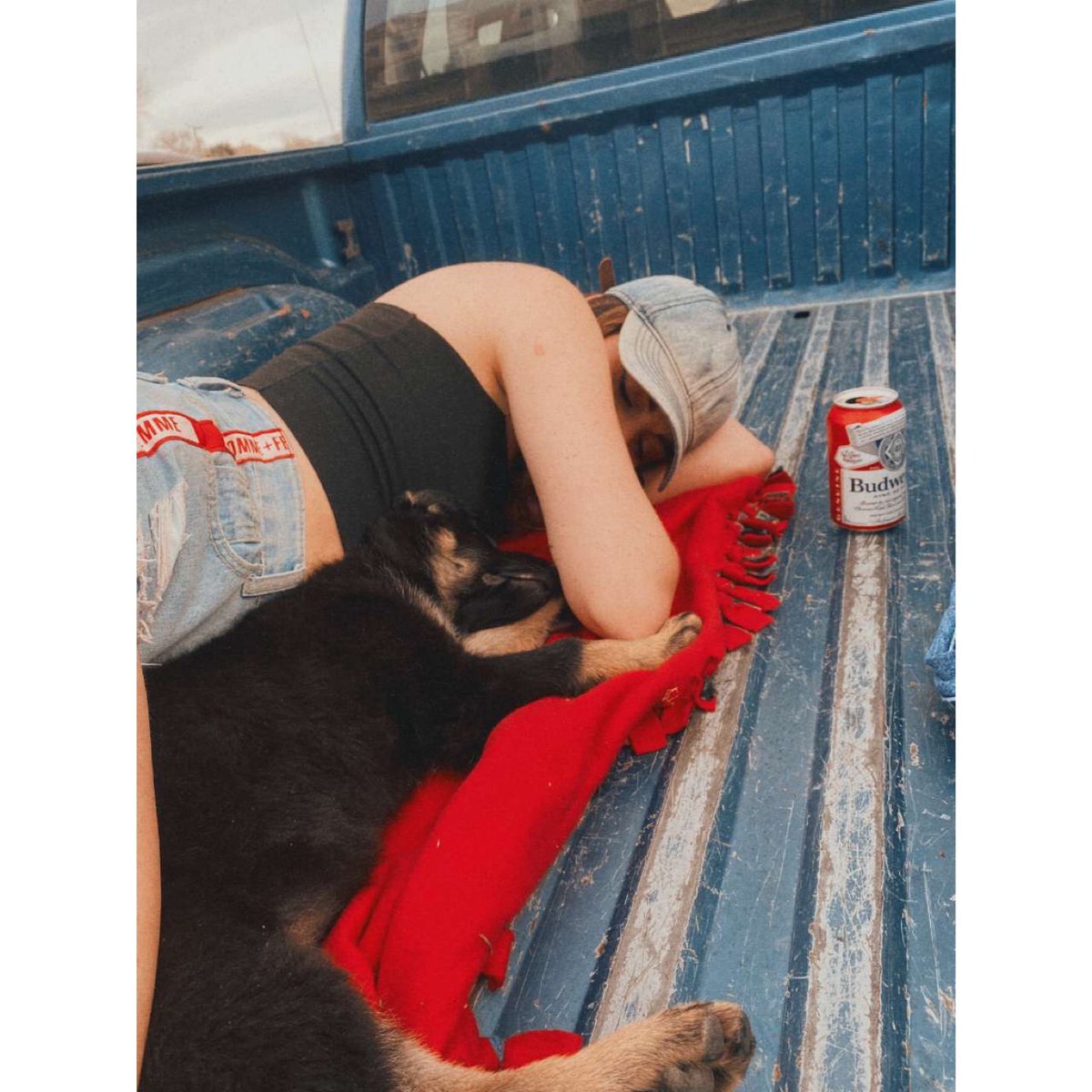 Cupcakebutt44's tweet photo. @budweiserusa https://t.co/8f895JhiTP