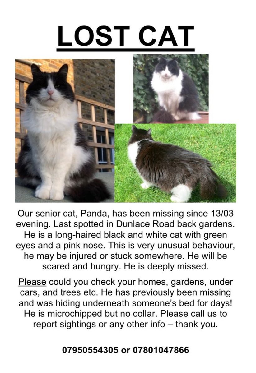 Please help #FindPanda 🙏 Panda went missing on 13th March 2022 from the Lower Clapton #E5 area. 
Panda is a Senior boy who was rescued from <a href="/Battersea_/">Battersea</a> 
He’s been with his family for 12 years and so needs to be back home where he belongs 🙏💕🐾 #cat #missingcat #London