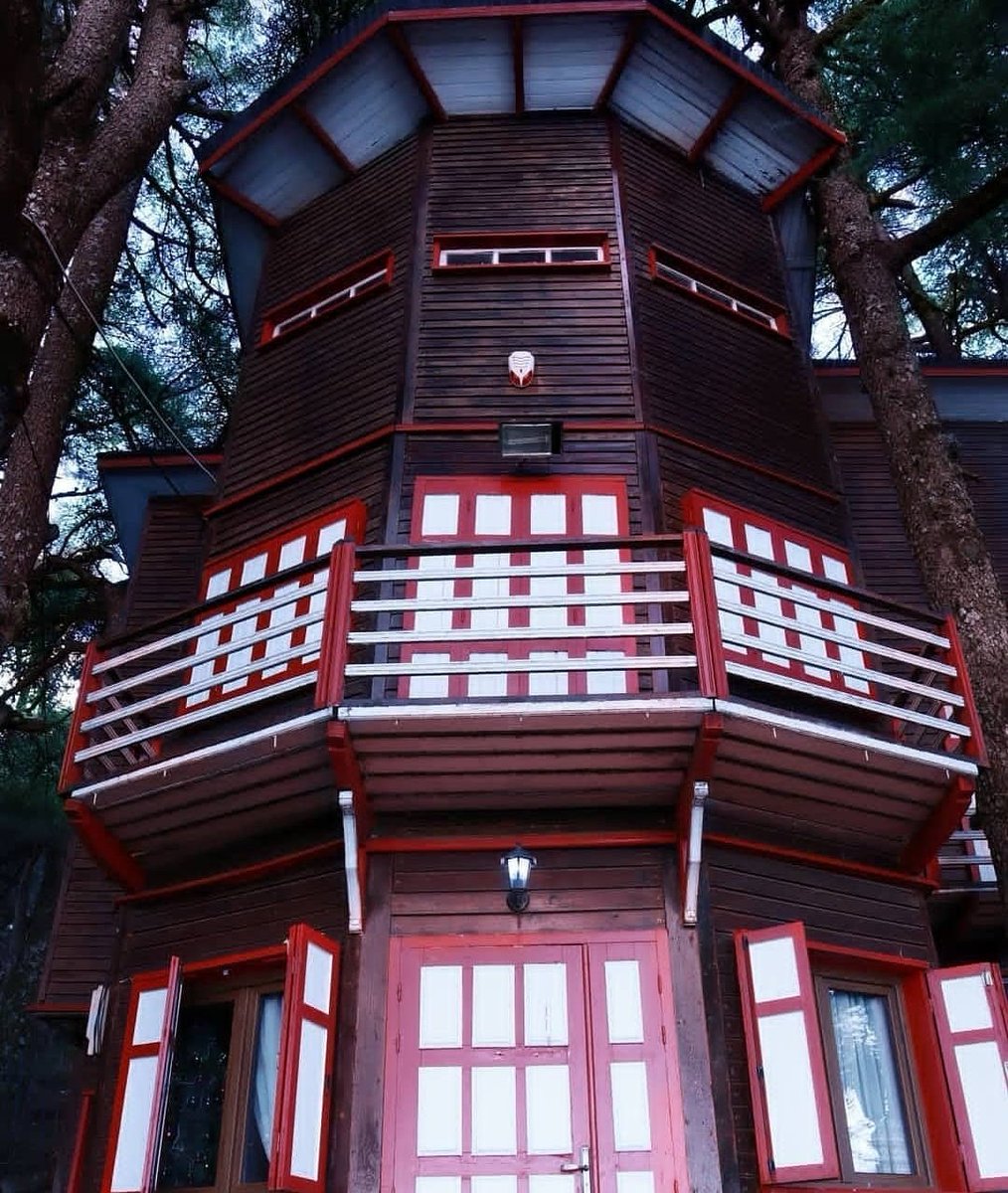 AfricaFactsZone's tweet image. Chréa National Park, Algeria.