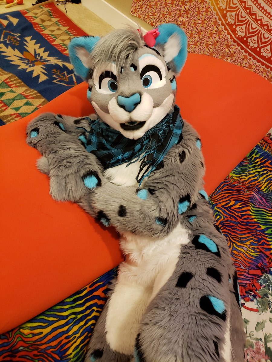 meow! just woke up and it's already naptime.. wanna come snuggle with me? :3 📸 @slatecollie