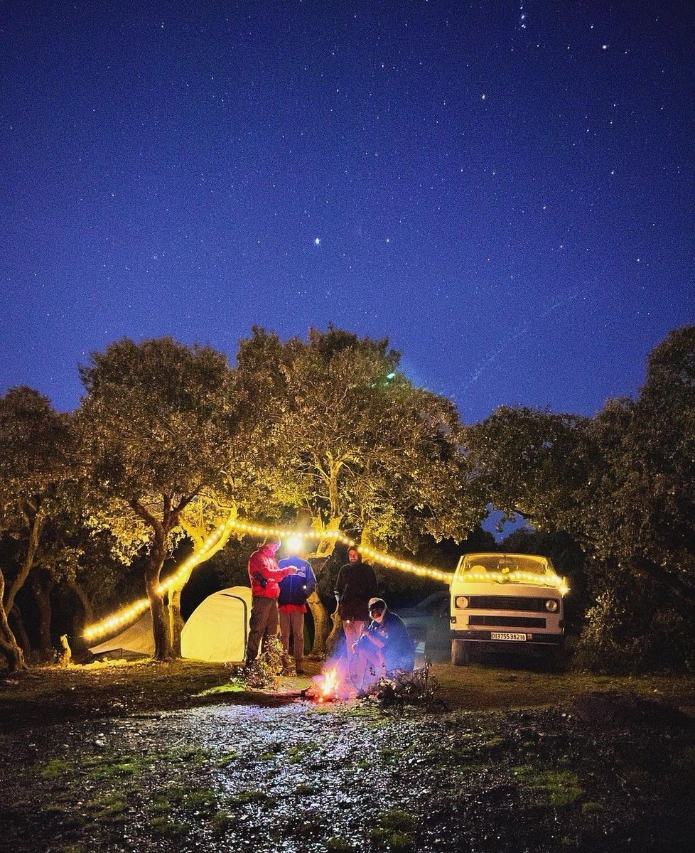 AfricaFactsZone's tweet image. Chréa National Park, Algeria.