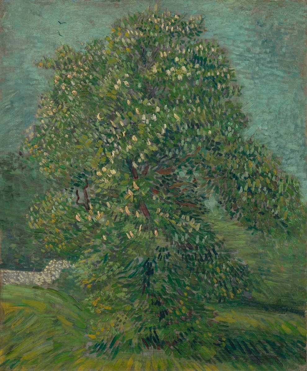 vangoghmuseum's tweet photo. In spring 1887, Van Gogh decided to paint a monumental horse chestnut in bloom. He created the leaves and blossom using rows of carefully placed brushstrokes, which perfectly capture the play of the light and shadow. 🌻 Vincent van Gogh, Horse Chestnut Tree in Blossom (1887) https://t.co/aV4CDOyqKH