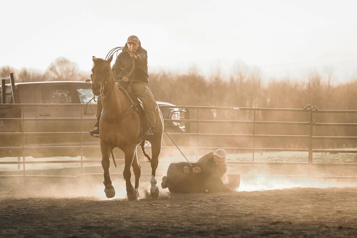 lmiller2480's tweet photo. Froze my ass off at the ranch rodeo this weekend, photos turned out cool though. If anyone wants to hire me so I can leave the east coast that’d be great🔥 https://t.co/wzMiZnbMZS