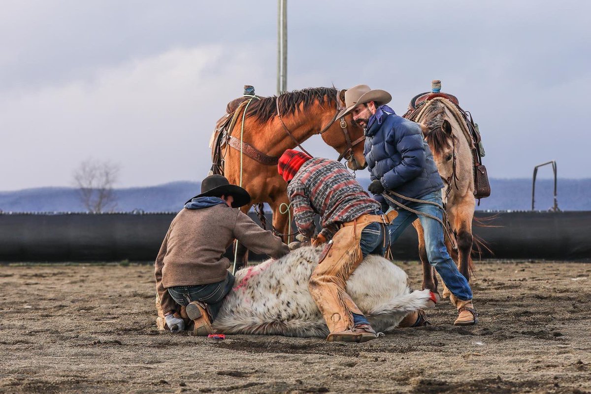 lmiller2480's tweet photo. Froze my ass off at the ranch rodeo this weekend, photos turned out cool though. If anyone wants to hire me so I can leave the east coast that’d be great🔥 https://t.co/wzMiZnbMZS