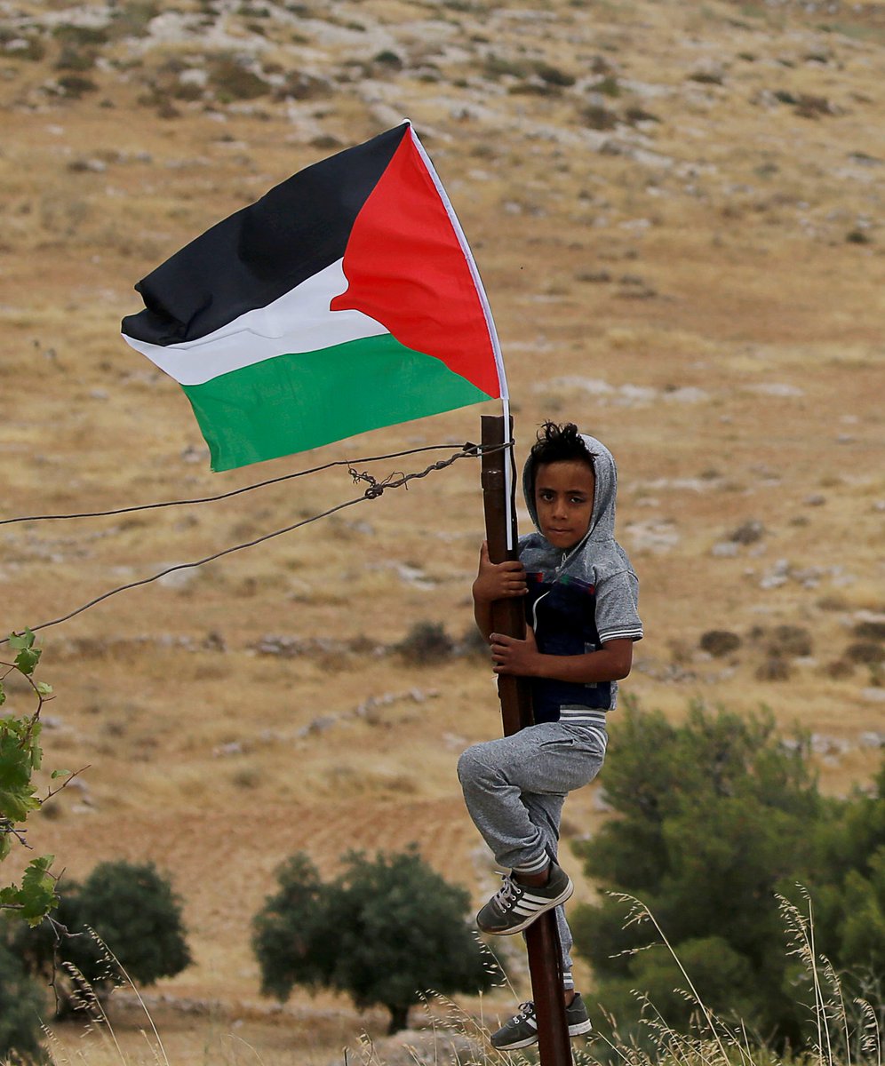 Amar39773080's tweet image. #NativeResistance