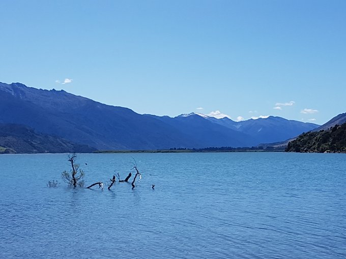 thetravellocker's tweet photo. Which is the most beautiful country you have visited? New Zealand must be in with a shout! The jury is out! What do you think? #LakeWanaka #newzealand #ferns #forest #walk #lake #ThunderCreekfalls #NZMustdo #RealMiddleEarth #travel #travelblogger
@PureNewZealand https://t.co/BYOjgParG9
