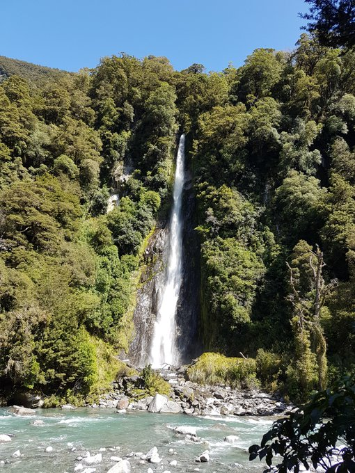 thetravellocker's tweet photo. Which is the most beautiful country you have visited? New Zealand must be in with a shout! The jury is out! What do you think? #LakeWanaka #newzealand #ferns #forest #walk #lake #ThunderCreekfalls #NZMustdo #RealMiddleEarth #travel #travelblogger
@PureNewZealand https://t.co/BYOjgParG9
