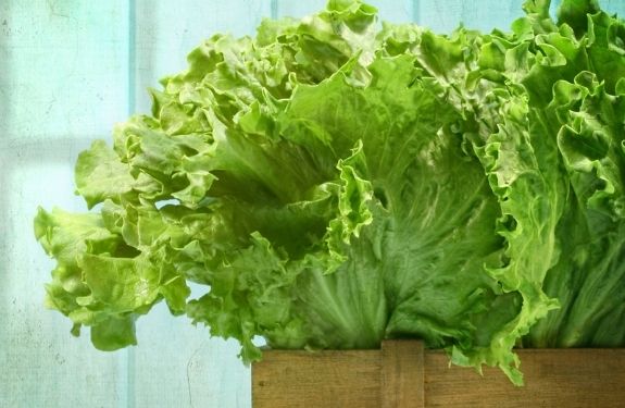 Take a look at these 20 reasons to plant a garden, so you can see everything that growing a fresh garden can provide! simplyfrugal.ca/20-reasons-to-…