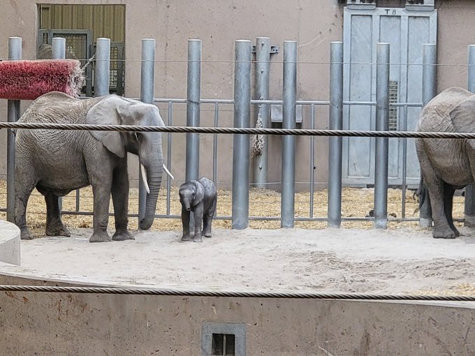 i went to zoo ! https://t.co/FDUcxzDB3V