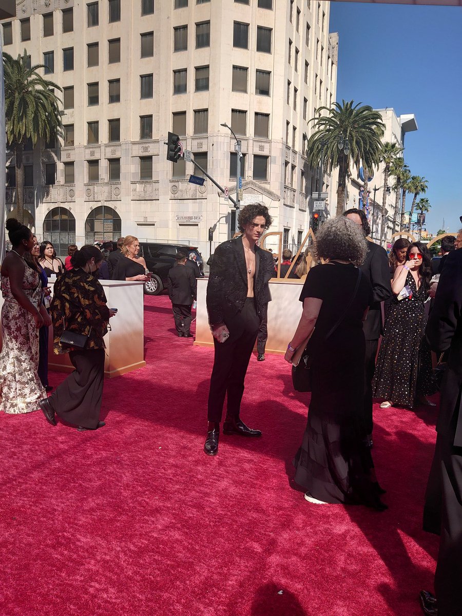 chlmt_arg's tweet photo. Timothée llegando a los premios #Oscar https://t.co/Uers85WtuG
