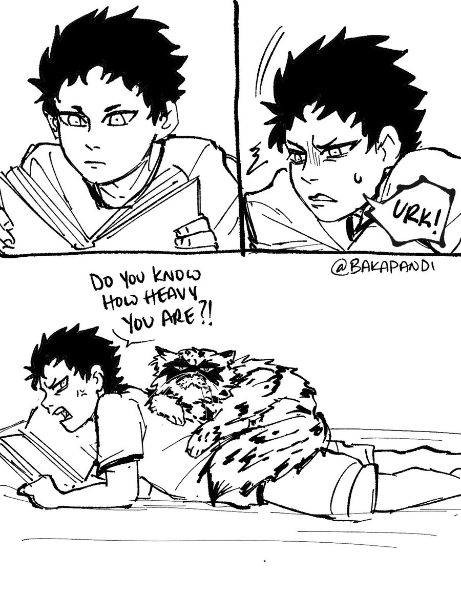 [Modern AU] More cat Shukaku 