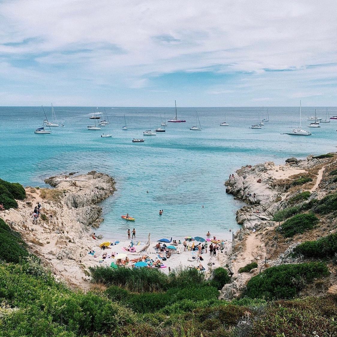 Spytail Rum tweet media