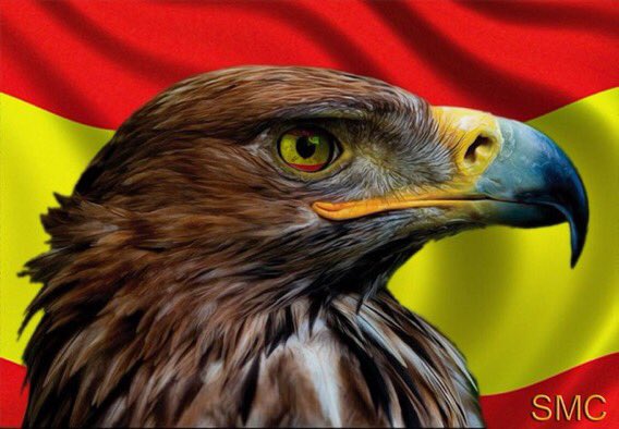 EnfermeraVOX's tweet image. 🇪🇸