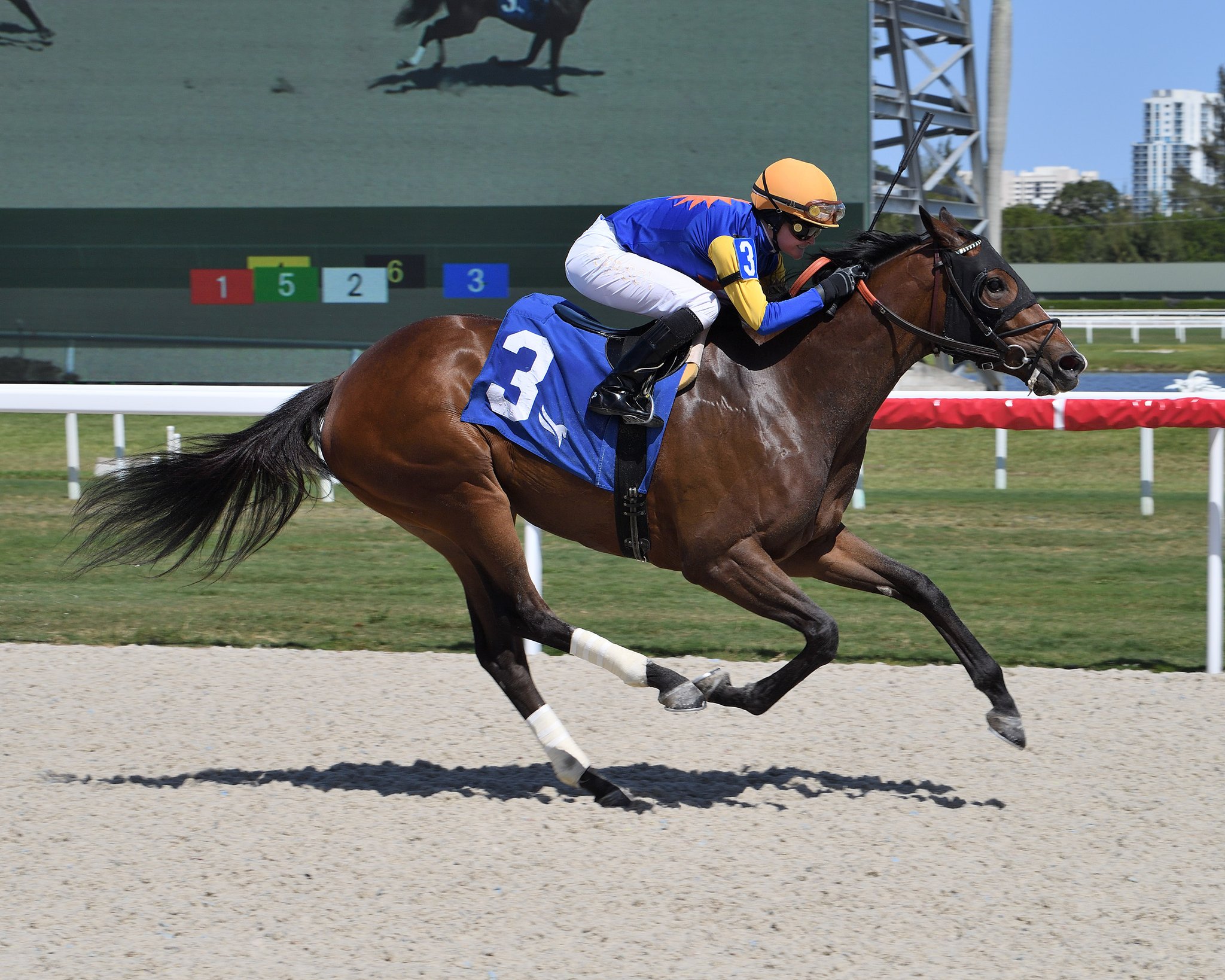 Gulfstream Park Scratches Today - 8tfn344