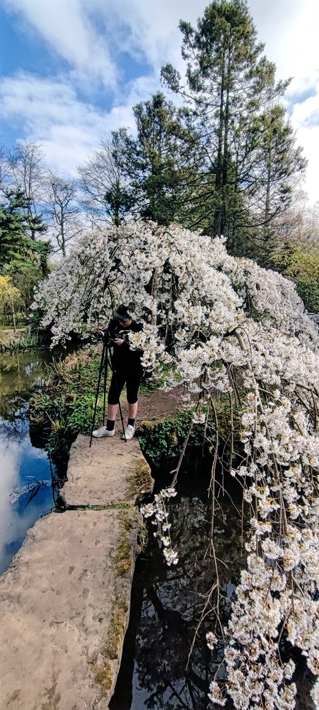 pike_kane's tweet photo. Lylah taking snaps at Newstead Abbey @LylahPike https://t.co/O6a7KxI6lL
