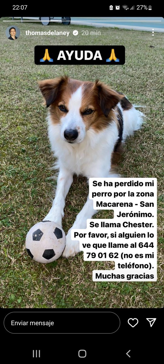 TheAnalyzerSFC_'s tweet photo. Se le ha perdido el perro a Thomas Delaney, una ayudita. Deja un tlf de contacto 👇
#SevillaFC https://t.co/eqIocwOJ42
