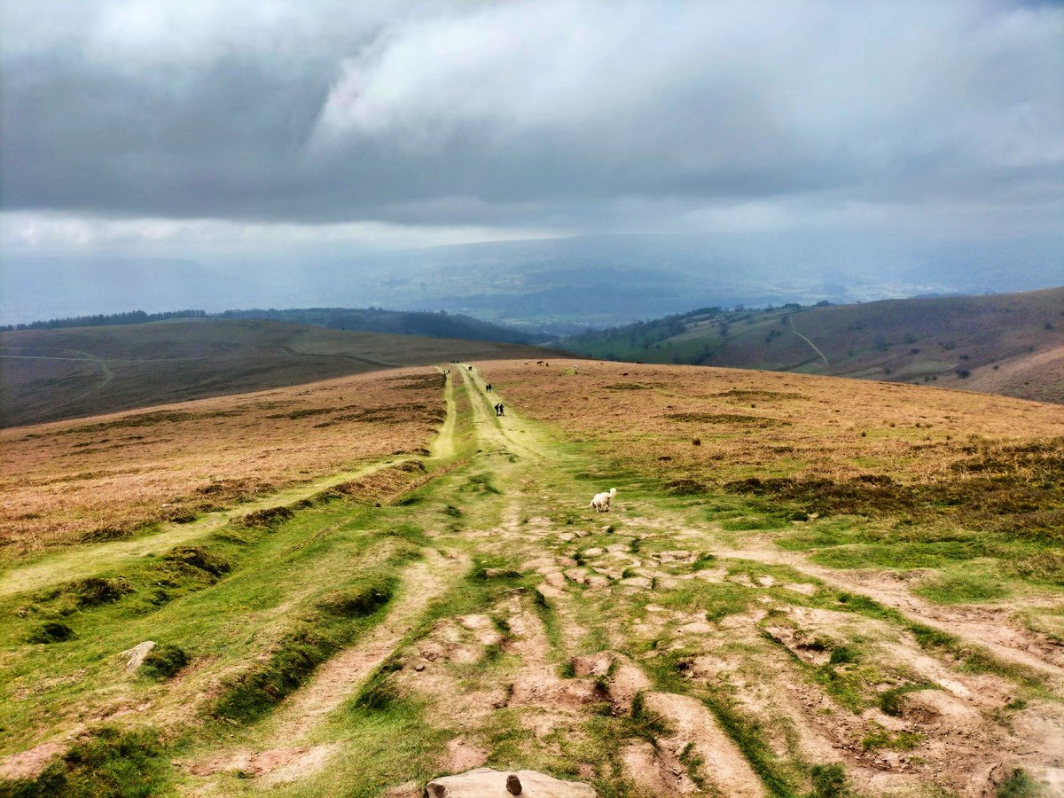 BathRunner's tweet image. The sweet bread of the Brecons