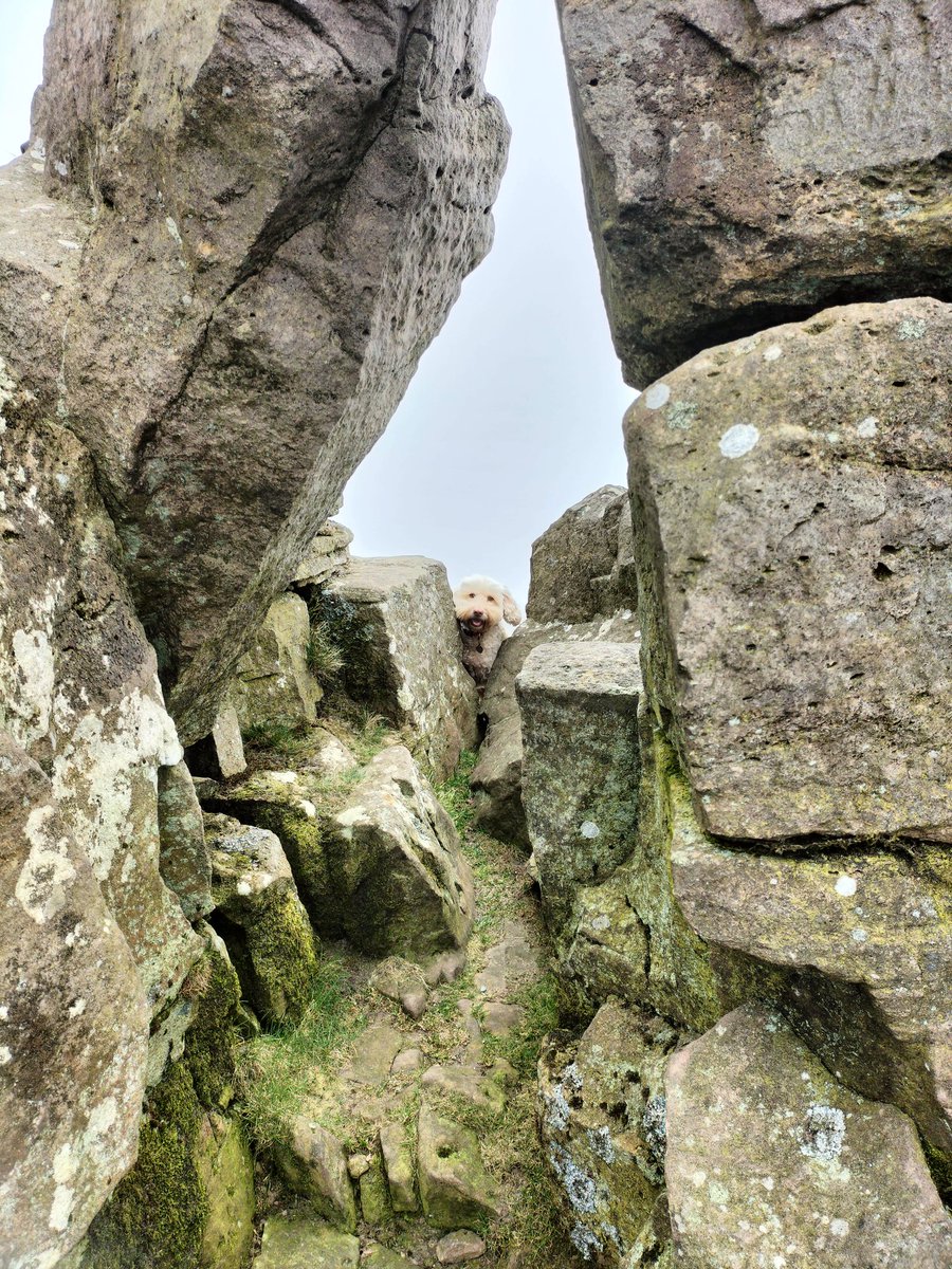 BathRunner's tweet image. The sweet bread of the Brecons