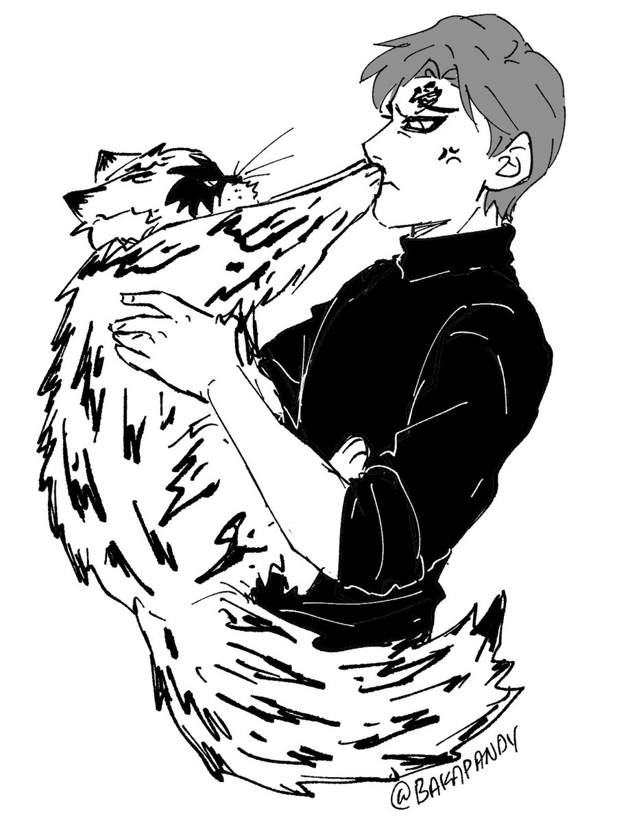 I'm having too much fun with modern AU cat Shukaku 
