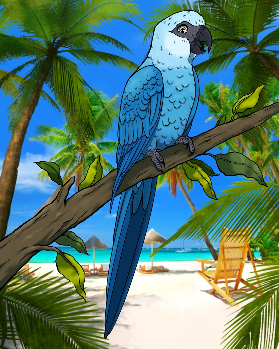 KindnessProjNFT's tweet photo. We've Landed in Fiji!!! 🏝️🦜

I wonder where we'll travel next...👀🤔

#NFT #NFTs #NFTCommunity #NFTProject #SolanaNFT https://t.co/dHX2NwBBlk