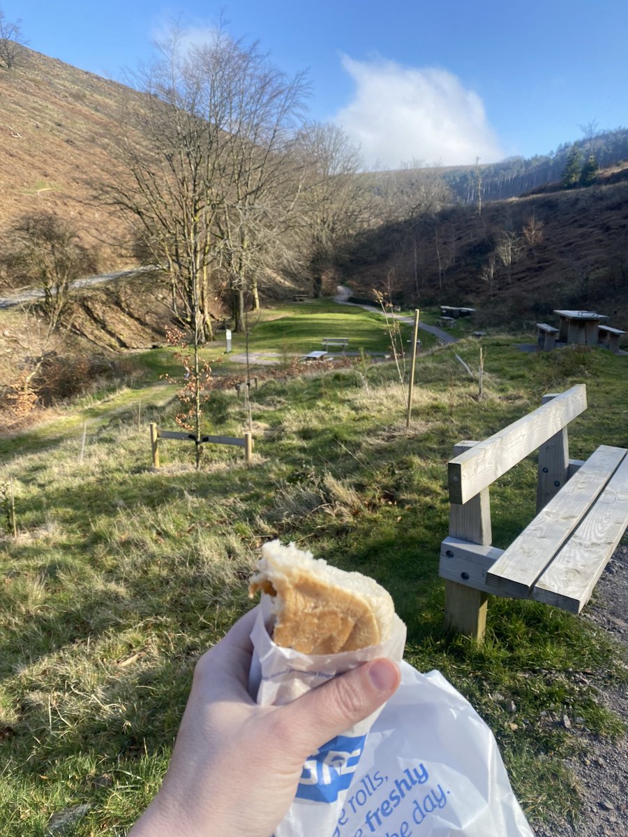 HeoldduEnglish's tweet photo. Breakfast with a view this morning! ☀️ 🏴󠁧󠁢󠁷󠁬󠁳󠁿 #CwmcarnForestDrive https://t.co/OTQHu5cI1F