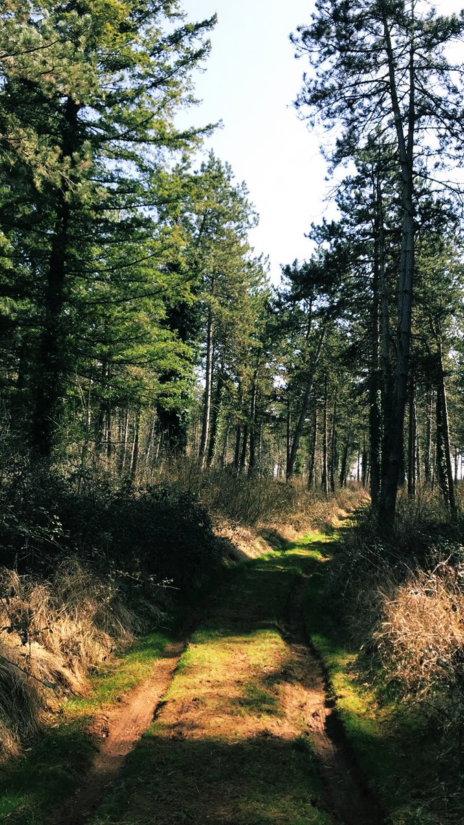 Marine 🛸 tweet media