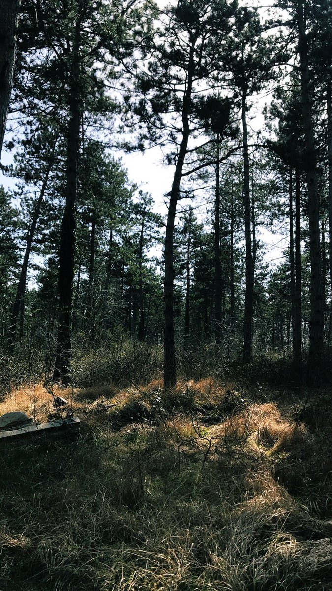 Marine 🛸 tweet media