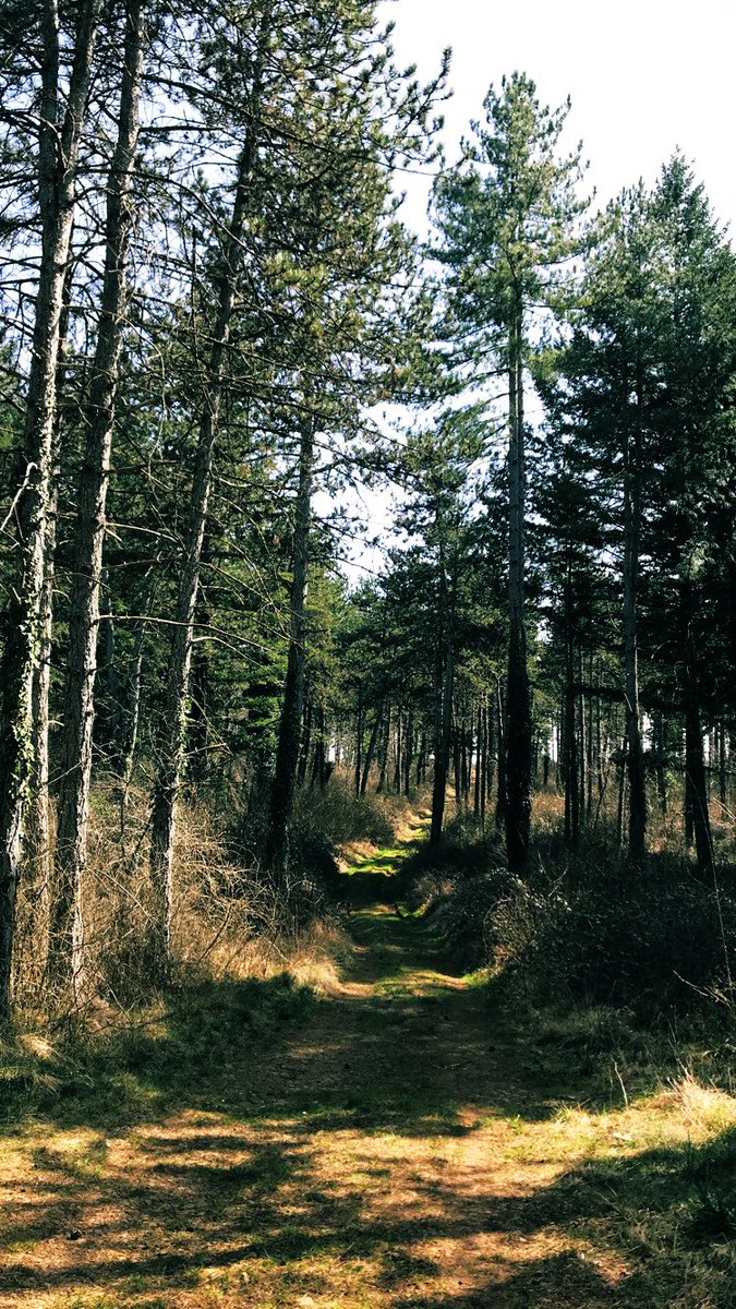 Marine 🛸 tweet media