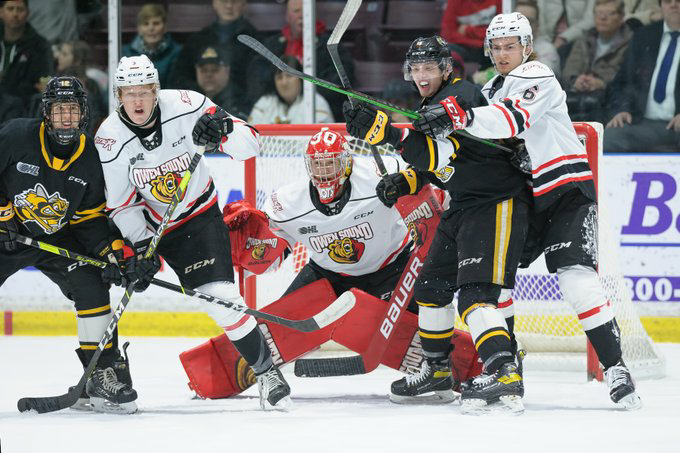 Metcalfe Photography tweet media