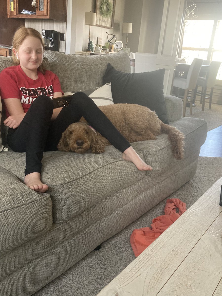 Chiefsfan1Young's tweet photo. Koda: NOT a fan of me watching sports. #takingcover #rockchalk #final4!! https://t.co/EzkRdpo4Bi