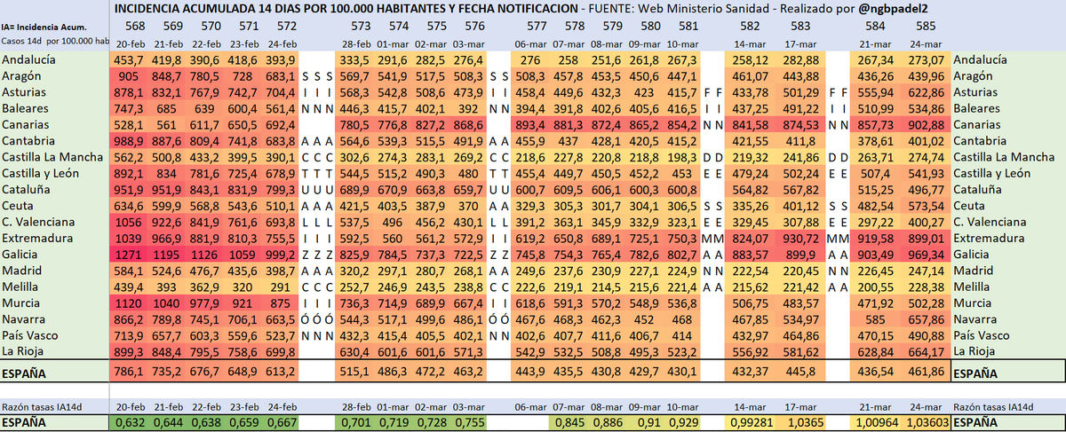 ngb padel tweet media