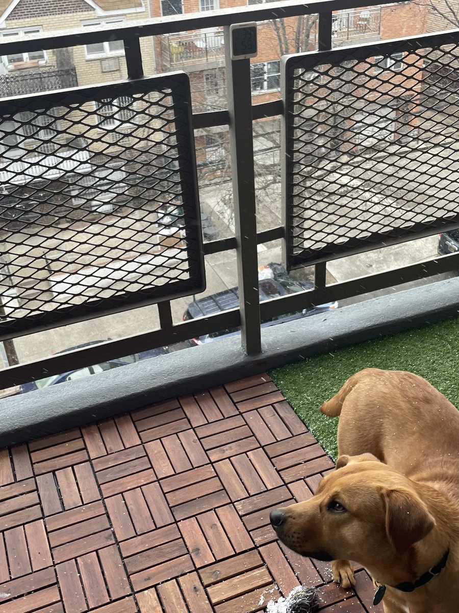 MrLast_Rocks's tweet photo. Pea sized hail in Queens!
@gdimeweather @weatherchannel https://t.co/fDm0PNc0kq