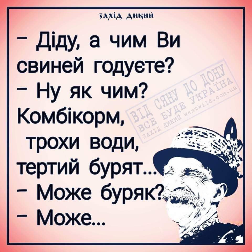 Vikusya***ꑭ🇺🇦ꑭ tweet media