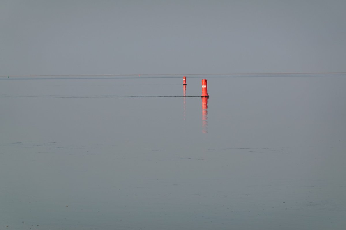 TexelSkeep's tweet photo. Afgelopen maandag, spiegelglad, genieten! #Cocksdorp #Texel https://t.co/SDSvZsY9ok