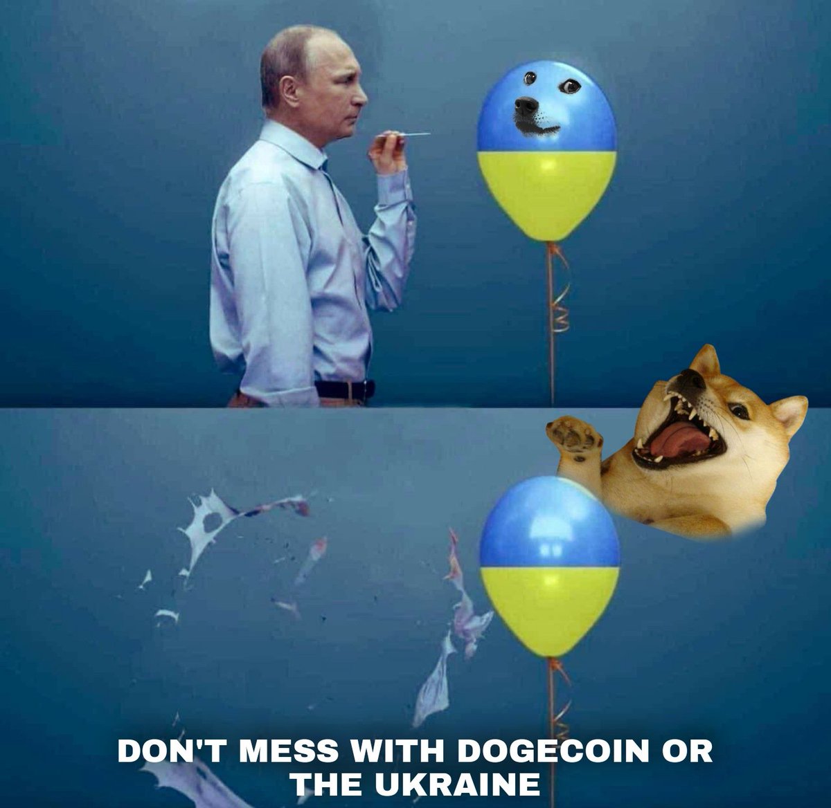 Andrewc5353's tweet photo. Don't mess with the #doge and don't mess with #Ukraine #dogecoin #dogearmy #Dogecoins #DogecoinToTheMoon #Dogemetaverse #DogeFather https://t.co/S3vLPa36aG