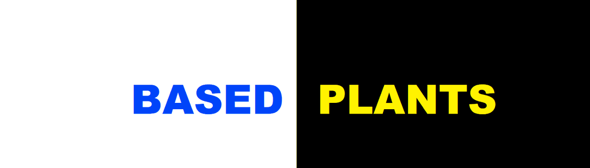 based_plants's tweet photo. Charity NFT project available on OpenSea (Polygon - no gas fees). Income of sales will be donated to help Ukraine ❤️🇺🇦. Check it out at:
https://t.co/kr97rEkIIc
#nft #basedplants #nftproject #nfts #nftproject #opensea #Ukraine #charity #Polygon https://t.co/69AnDAUNi4