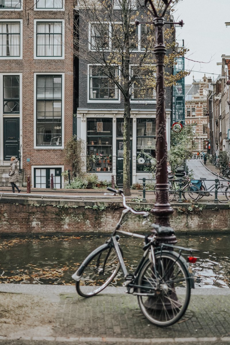 In six words or less, write a story about this photo...    

#amwriting #sixwordstory