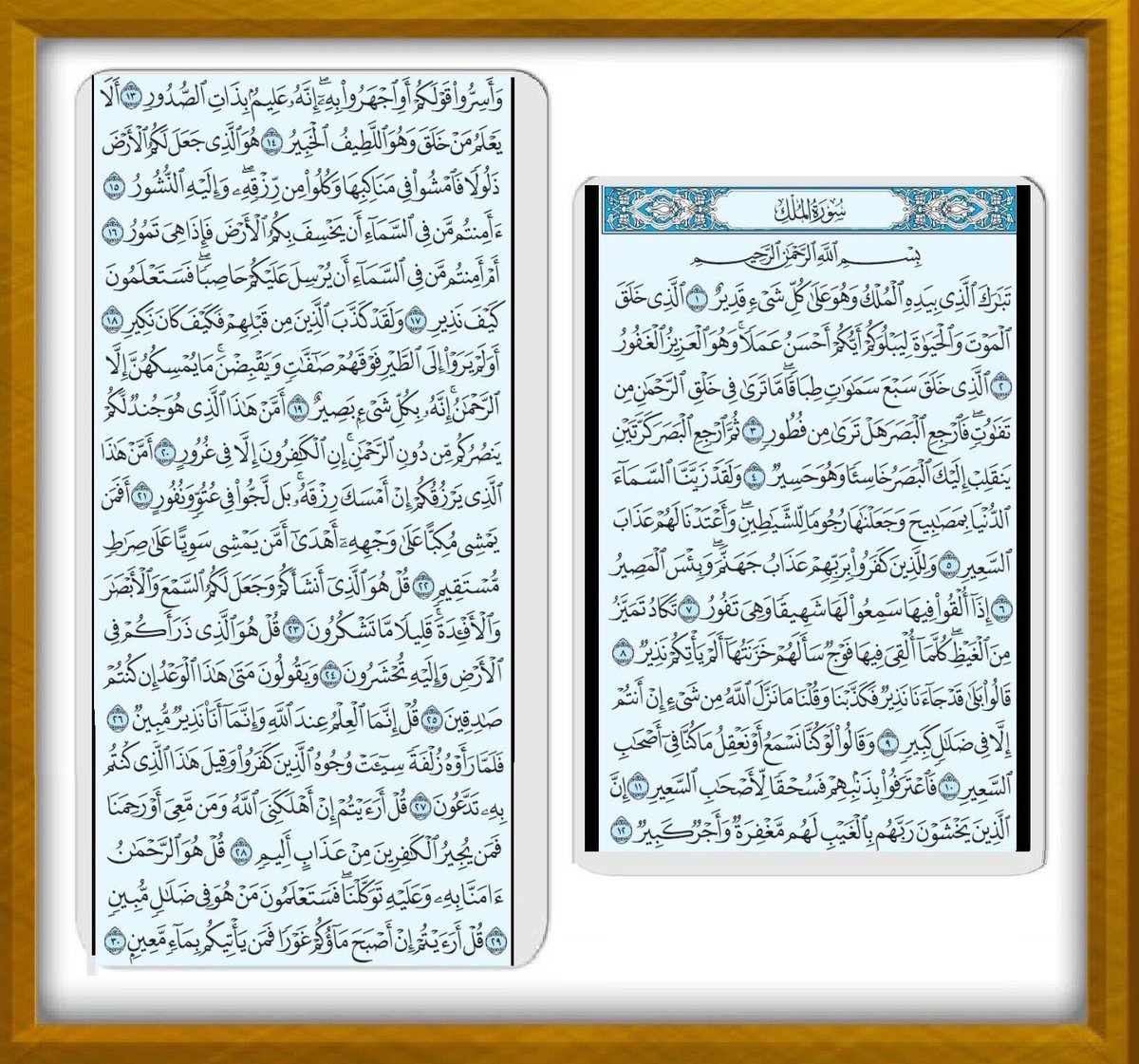 Dr_alqarnee's tweet photo. أوتر ولو بركعة، ونم على وضوء، ولا تنس أذكار النوم، وقراءة سورة الملك (تبارك) فإنها مُنجية من عذاب القبر،
ونق قلبك من البغضاء والشحناء، واستغفر للمسلمين والمسلمات، وسامح الجميع،
لتنام أهدأ نومة، وتعيش أجمل ليلة في حياتك،
غفر الله لنا ولكم وجمعنا في الفردوس الأعلى مع نبيه ﷺ https://t.co/oikgJYop7g