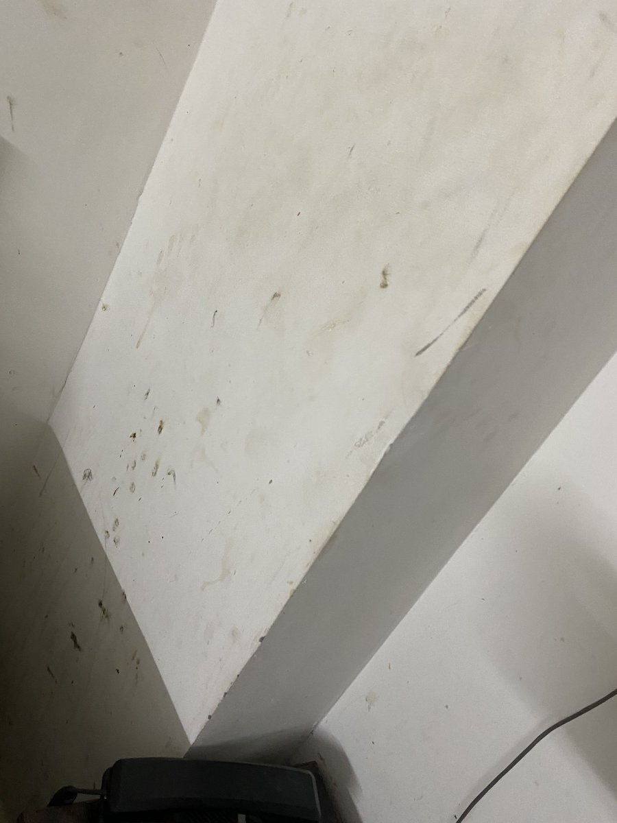 Iammaavi's tweet photo. @riteshagar I’m very disappointed today, I use to admire your OYO rooms &amp; was a free promoter for the same

but today I can say this @oyorooms is heading to its downfall 

Customer satisfaction has become least priority 

I paid, now I need my Refund for Booking ID: RVEC1543 https://t.co/seRkRxOFw4