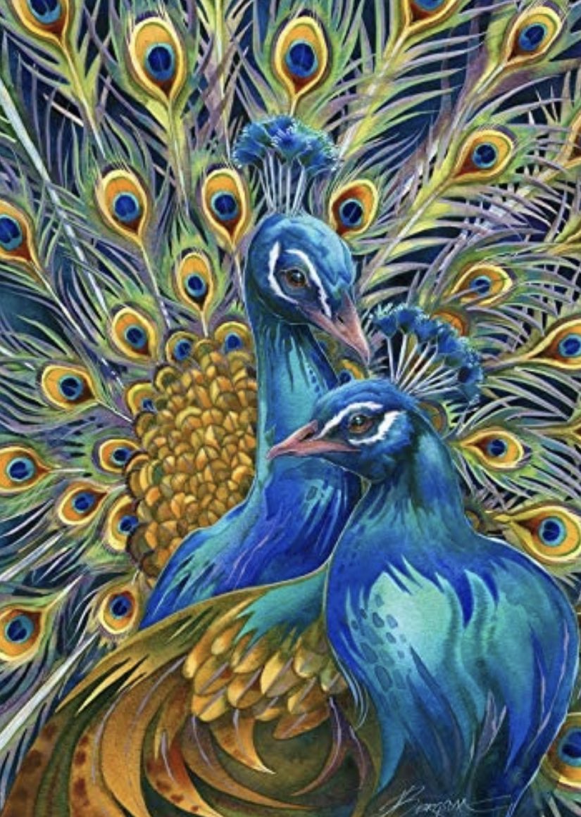 GLStein's tweet photo. Today, let’s all be Peacocks!! #GoStPeters @PeacocksMBB https://t.co/K2ODOJCw6e