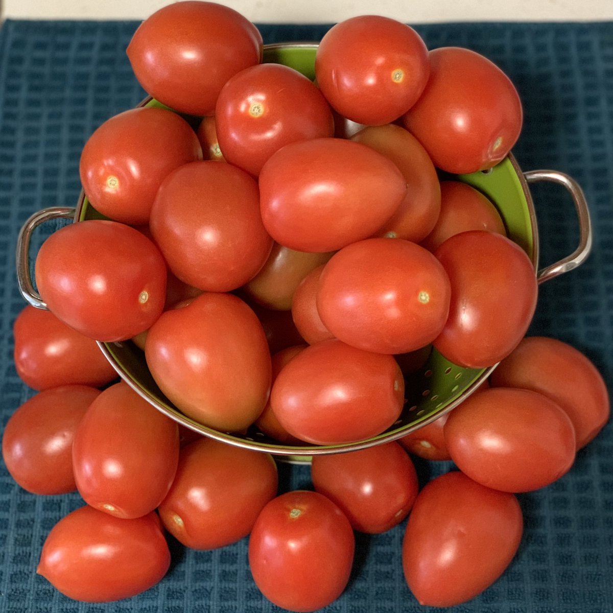 canadachandra's tweet photo. There is some serious shit about to go down in my kitchen today. ♥️🍅

#tomatoes #tomato #tomahtoe #chancancook #domesticgoddess https://t.co/4XqEhPj4ve