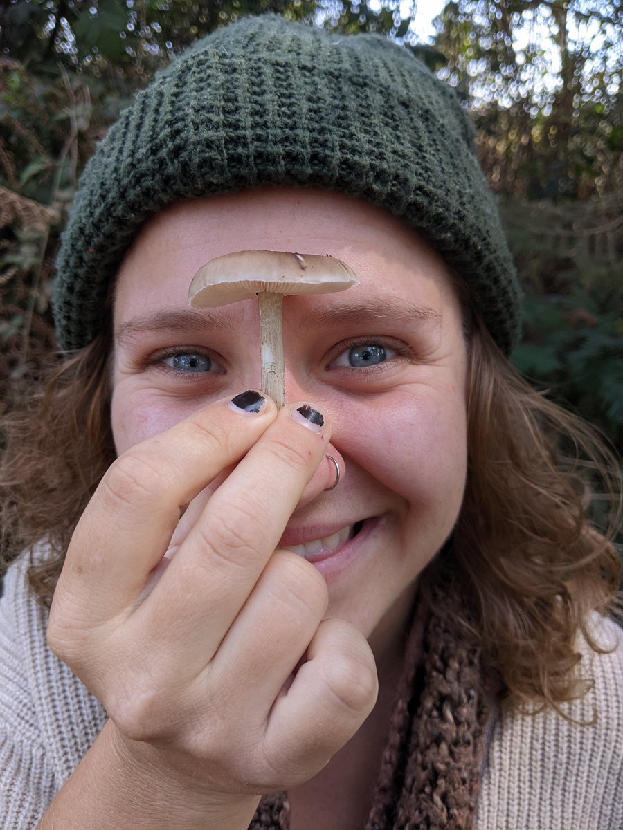 FunGuysClubNFT's tweet image. 